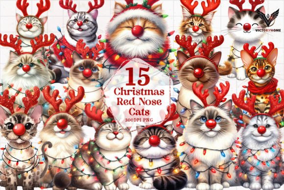 Christmas Red Nose Cats Clipart PNG for Illustrations